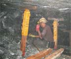 Mining Timber1